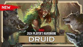 New Druid  2024 Players Handbook  D&D