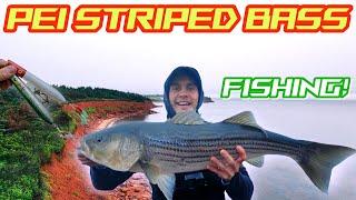 Epic Post Storm TOP WATER Fishing PEI Striped Bass Fishing