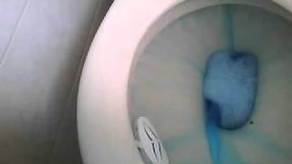 blue toilet water