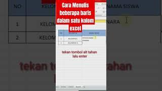 CARA MENULISKAN BEBERAPA BARIS DALAM SATU KOLOM EXCEL