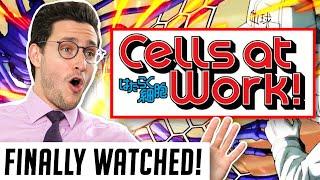 Real Doctor Reacts to CELLS AT WORK Hataraku Saibō