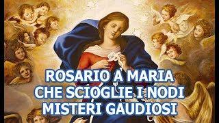 Rosario a Maria che scioglie i nodi - Misteri Gaudiosi