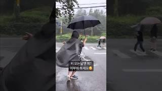 우산쓰고 우비쓰고 하는 일은? #dog #rain #강아지일상