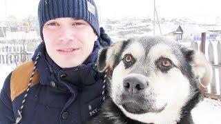 Влог Катаемся на снегокате с помощью собаки Дети построили дом из снега