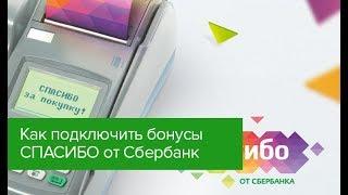 Как подключить бонусы спасибо от Сбербанк - все доступные способы подключения