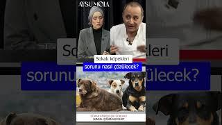 Sokak Köpekleri Sorunu Nasıl Çözülecek? #shorts