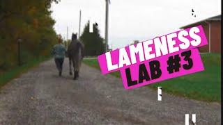 Lameness Lab #3 Is this horse lame? Training your eye to see lameness By Equine Guelph