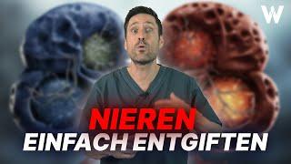 Nieren entgiften 7 TOP Lebensmittel für eine gesunde Nierenpflege Entgiftung auf dem Prüfstand