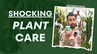  Top 5 Weird Houseplant Tips You MUST Try 