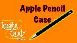 Apple Pencil Case - Should you buy?