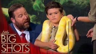 6-year-old Charlie wraps the Worlds 4th Biggest Snake around himself
