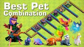 Which pet is best for Archer Queen?  Clash of Clans Tips and Tricks