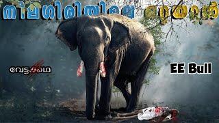 നീലഗിരിയിലെ ഒറ്റയാൻHunting Story MalayalamElephant AttackNilgiriEBULL@wildstoriesmalayalam