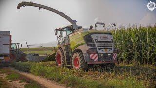 CLAAS Jaguar 980 Type 498 + Orbis 750  X3 FENDT 724516 & Crosetto  Mais Silage