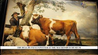The Bull by Paulus Potter at the Mauritshuis Museum