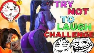 TRY NOT TO LAUGH CHALLENGE   FUNNY VIDEOS #28 