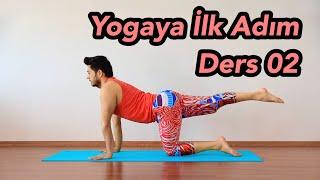 Yogaya İlk Adım Ders 02  Yoga Kursu
