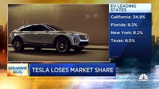 Tesla loses market share as rivals ramp up electric vehicle production