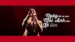 YÊU NHƯ NGÀY YÊU CUỐI  OFFICIAL LYRIC MV  MAI TIẾN DŨNG