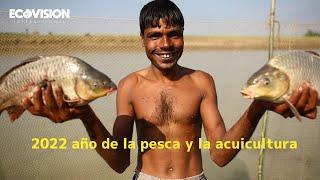 2022 Año de la pesca y acuicultura