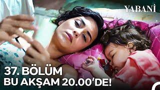 Yabani Yeni Sezonu ile Bu Akşam 20.00de NOWda @YabaniDiziResmi