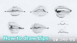 How to draw lips by Chommang Tutorial
