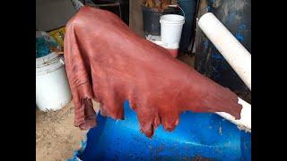 Making vegetable tanned leather from small to medium sized animal skins.