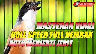 MASTERAN CENDET TEMBAKAN ROLL SPEED BIKIN PANAS TELINGA BAPAK JURI