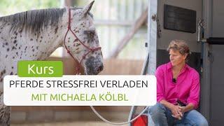 Pferde stressfrei verladen Der Grundkurs mit Michaela Kölbl  wehorse - Die Online Reitschule