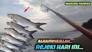  STRIKE IKAN BESAR DAN BANYAK - Cuma Lempar Dekat di Spot Seperti Ini ⁉️ mancing pasiran