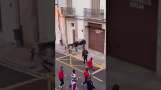 Un hombre de 82 años fue corneado por un toro  en Ontinyent #España #shorts