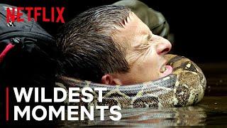 Bear’s WILDest Moments  Animals on the Loose A You vs Wild Movie  Netflix After School