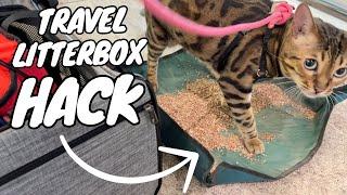 This Travel Litterbox Saved the Day on our Last Plane Trip