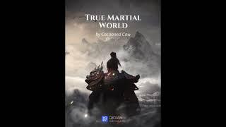 True martial world ch 231 - 240