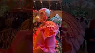 The Spring Display at the Bellagio Conservatory