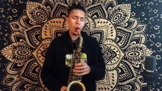 Saxl Rose - A Day To Remember ‘’If It Means A Lot To You’’ Sax Cover