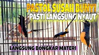 PANCINGAN MURAI BATU PASTOL AGAR GACOR BONGKAR MATERI  dijamin pastol manapun pasti langsung gacor