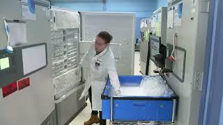 Indy Central Lab - Laboratory Pre Analytical Services Specimen Management and Safety Testing