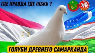 КАК НАЗЫВАЛИ ТАДЖИТСКИХ ГОЛУБЕЙ 60 ЛЕТ НАЗАД В ТАДЖИКИСТАНЕ ?  ЧЕРНОНОСЫЕ БУХАРСКИЕ ГОЛУБИ ПРАВДА