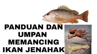 TIPSPANDUAN DAN UMPAN MEMANCING IKAN JENAHAK