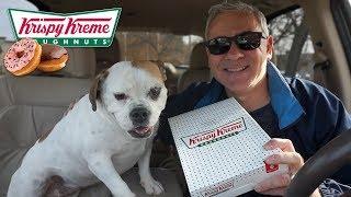 Morning Mukbang at Krispy Kreme with My Bulldog