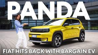 FIRST LOOK  New Fiat Grande Panda. Does it have the bear necessities?  Electrifying