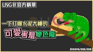 【LNG精華】可愛害羞變色龍