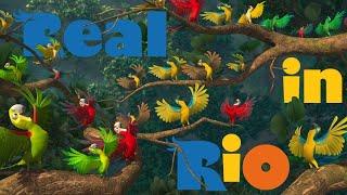 Real en Rio En Español Latino Rio 1 - perla y blu