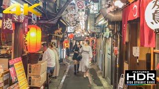  Party Night In Omoide Yokocho Piss Alley  Izakaya Japanese Street Food & Good Vibes