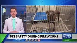 Lexington Animal Control on how to keep pets safe during firework shows