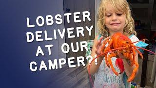 We Had Lobster Delivered to Our Campsite in Kennebunkport Maine