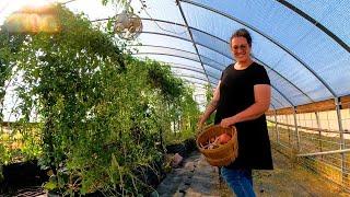 Preparing The Greenhouse for FALL Planting  Garden Work & Farm Life VLOG