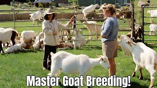 Goat Breeding 101 Time Zone Specific Schedules in the USA