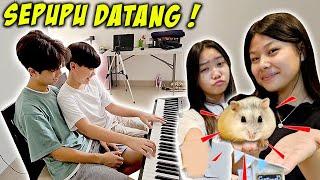 SEPUPU DATANG KE RUMAH BARU REBUTAN MAIN HAMSTER & PIANO  Vlog CnX Adventurers